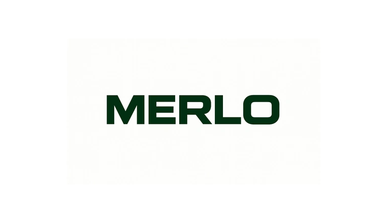Merlo Ersatzteile günstig online bestellen | baumaschinen.glass